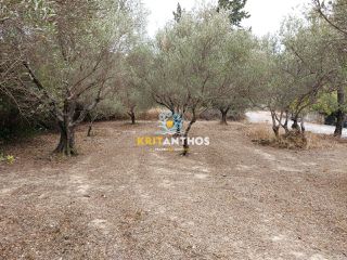 Οικόπεδο 2.354 τ.μ. για πώληση, Ν. Χανίων, Κρυονερίδα-thumb-27