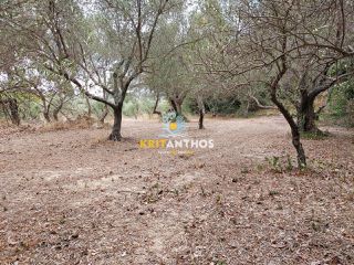 Οικόπεδο 2.354 τ.μ. για πώληση, Ν. Χανίων, Κρυονερίδα-thumb-28