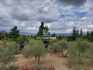 Οικόπεδο 2.354 τ.μ. για πώληση, Ν. Χανίων, Κρυονερίδα-thumb-31