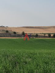 Αγροτεμάχια 88.000 τ.μ. για πώληση, Ν. Λάρισας, Κοιλάδα-thumb-6