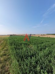 Αγροτεμάχια 88.000 τ.μ. για πώληση, Ν. Λάρισας, Κοιλάδα-thumb-11