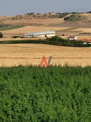 Αγροτεμάχια 88.000 τ.μ. για πώληση, Ν. Λάρισας, Κοιλάδα-thumb-12
