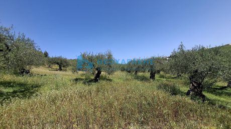 Land plot 1.637sqm for sale-Archanes » Patsides