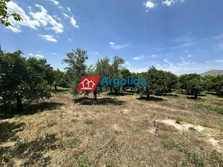 Αγροτεμάχια 9.000 τ.μ. πρός πώληση, Αργολίδα, Μιδέα-thumb-7