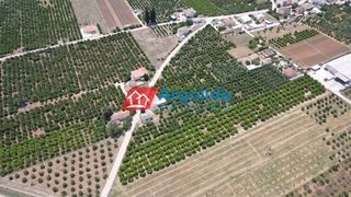 Αγροτεμάχια 9.000 τ.μ. πρός πώληση, Αργολίδα, Μιδέα-thumb-8