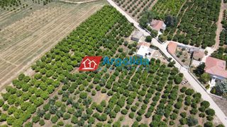 Αγροτεμάχια 9.000 τ.μ. πρός πώληση, Αργολίδα, Μιδέα-thumb-15