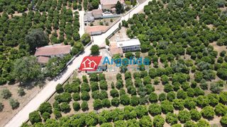 Αγροτεμάχια 9.000 τ.μ. πρός πώληση, Αργολίδα, Μιδέα-thumb-17