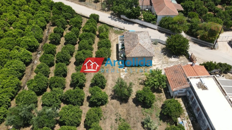 Αγροτεμάχια 9.000 τ.μ. για πώληση, Αργολίδα, Μιδέα