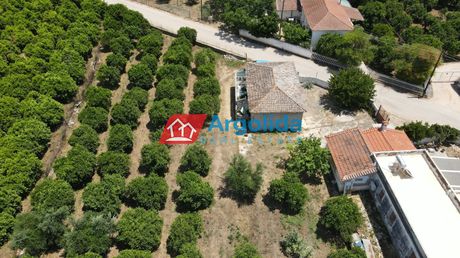 Αγροτεμάχια 9.000τ.μ. για πώληση-Μιδέα » Ηραίο