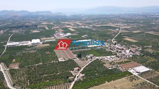 Αγροτεμάχια 9.000 τ.μ. πρός πώληση, Αργολίδα, Μιδέα-thumb-20