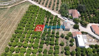 Αγροτεμάχια 9.000 τ.μ. πρός πώληση, Αργολίδα, Μιδέα-thumb-18