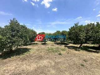 Αγροτεμάχια 9.000 τ.μ. πρός πώληση, Αργολίδα, Μιδέα-thumb-5