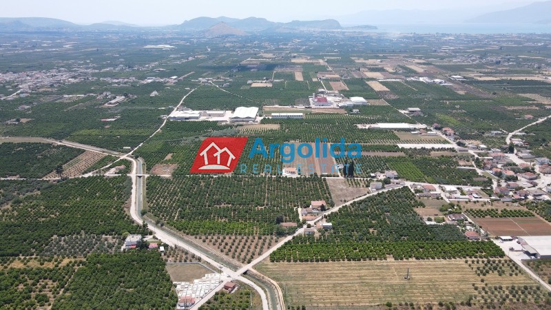 Αγροτεμάχια 9.000 τ.μ. πρός πώληση, Αργολίδα, Μιδέα