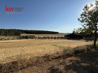 Βίλλα 200 τ.μ. για πώληση, Χαλκιδική, Κασσάνδρα-thumb-23