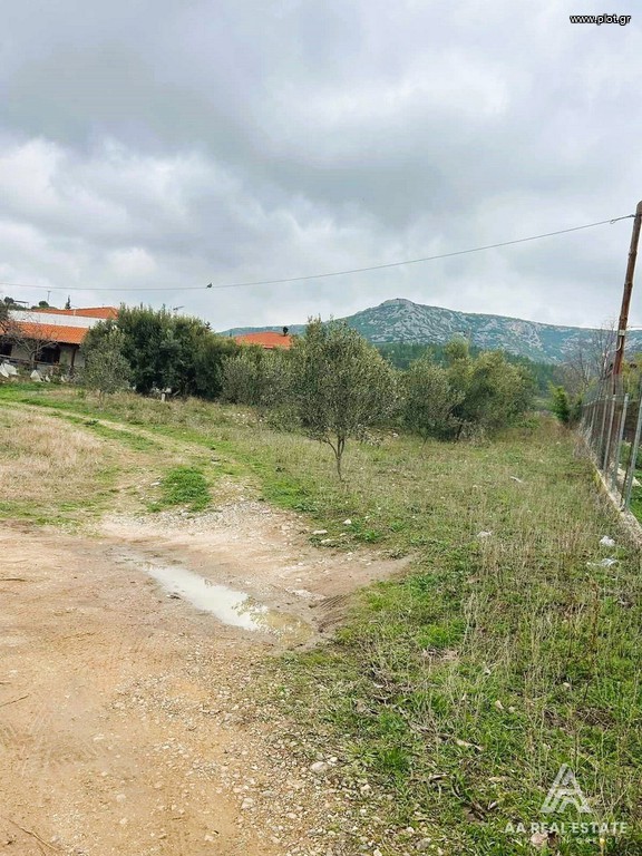 Μονοκατοικία 140 τ.μ. πρός πώληση, Χαλκιδική, Τριγλία