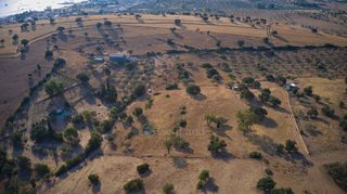 Αγροτεμάχια 4.003 τ.μ. προς πώληση, Κοιλάδα Κρανιδίου-thumb-14