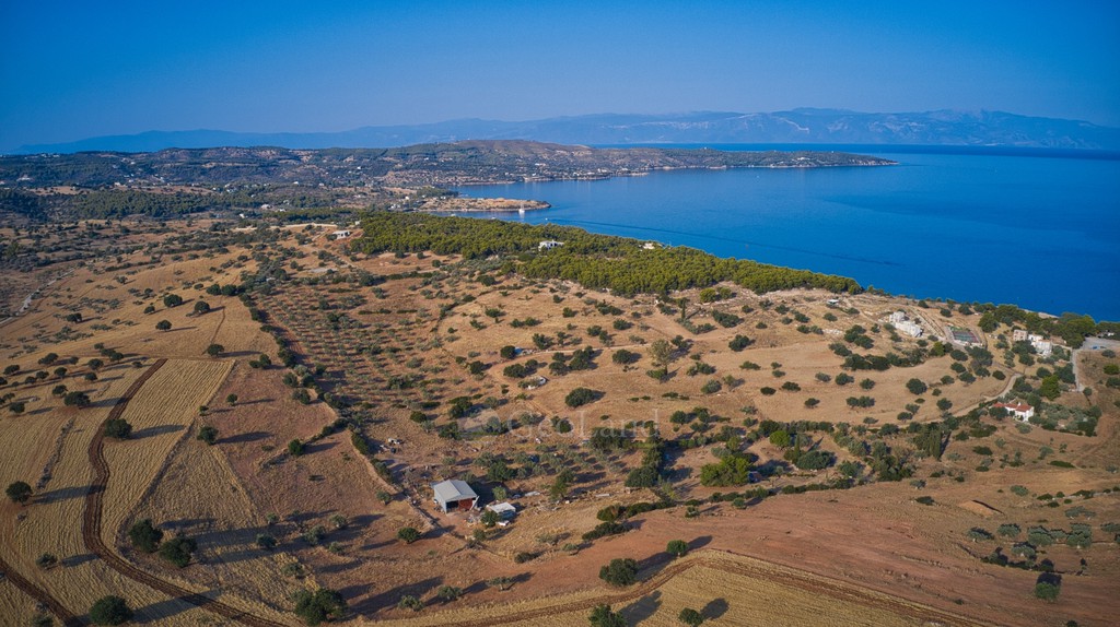 Αγροτεμάχια 4.003 τ.μ. προς πώληση, Κοιλάδα Κρανιδίου