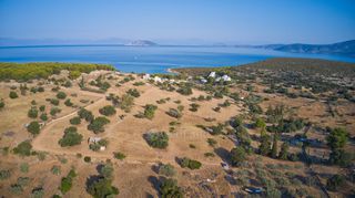 Αγροτεμάχια 4.003 τ.μ. προς πώληση, Κοιλάδα Κρανιδίου-thumb-11
