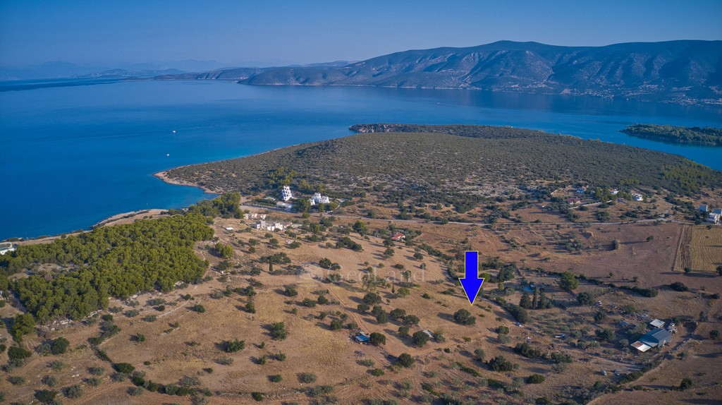Αγροτεμάχια 4.003 τ.μ. προς πώληση, Κοιλάδα Κρανιδίου