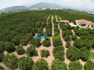 Αγροτεμάχια 18.000 τ.μ. για πώληση, Αργολίδα, Κουτσοπόδι-thumb-12
