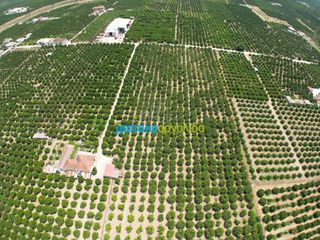 Αγροτεμάχια 18.000 τ.μ. για πώληση, Αργολίδα, Κουτσοπόδι-thumb-1