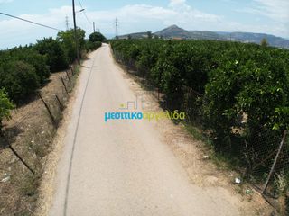 Αγροτεμάχια 18.000 τ.μ. για πώληση, Αργολίδα, Κουτσοπόδι-thumb-5