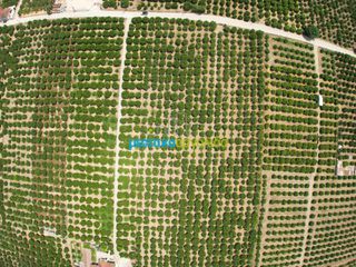 Αγροτεμάχια 18.000 τ.μ. για πώληση, Αργολίδα, Κουτσοπόδι-thumb-2