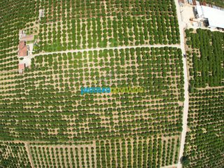 Αγροτεμάχια 18.000 τ.μ. για πώληση, Αργολίδα, Κουτσοπόδι-thumb-3