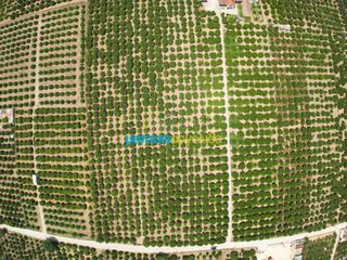 Αγροτεμάχια 18.000 τ.μ. για πώληση, Αργολίδα, Κουτσοπόδι-thumb-4