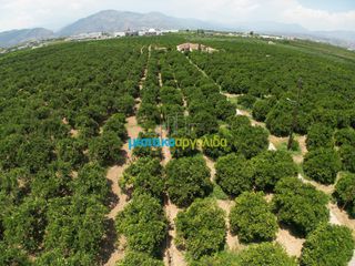 Αγροτεμάχια 18.000 τ.μ. για πώληση, Αργολίδα, Κουτσοπόδι-thumb-9