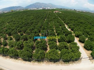Αγροτεμάχια 18.000 τ.μ. για πώληση, Αργολίδα, Κουτσοπόδι-thumb-8
