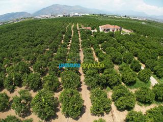 Αγροτεμάχια 18.000 τ.μ. για πώληση, Αργολίδα, Κουτσοπόδι-thumb-11