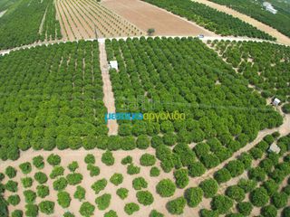 Αγροτεμάχια 10.000 τ.μ. για πώληση, Αργολίδα, Κουτσοπόδι-thumb-4