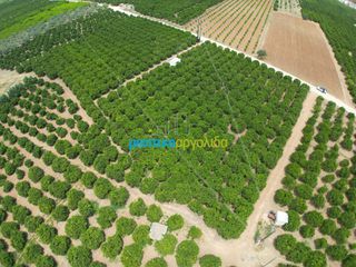 Αγροτεμάχια 10.000 τ.μ. για πώληση, Αργολίδα, Κουτσοπόδι-thumb-6