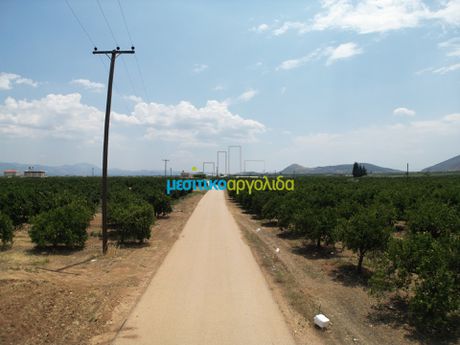 Parcel 10.000sqm for sale-Koutsopodi