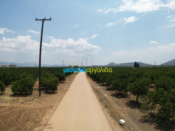 Αγροτεμάχια 10.000 τ.μ. για πώληση, Αργολίδα, Κουτσοπόδι