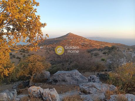 Αγροτεμάχια 6.000τ.μ. για πώληση-Κέα » Μελισσάκι