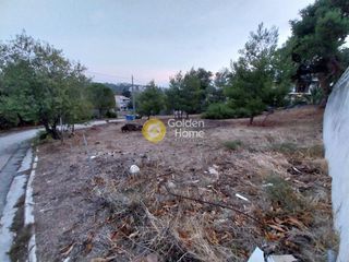 Οικόπεδο 1.085 τ.μ. προς πώληση