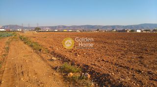 Αγροτεμάχια 37.000 τ.μ. για πώληση