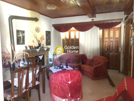 Apartment 55sqm for rent-Distomo » Steiri