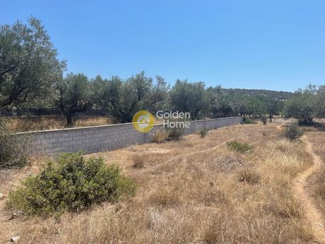 Land plot 802sqm for sale-Koropi » Kitsi