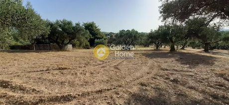 Parcel 4.456sqm for sale-Oropos » Nea Politeia