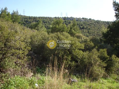 Οικόπεδο 404 τ.μ. για πώληση