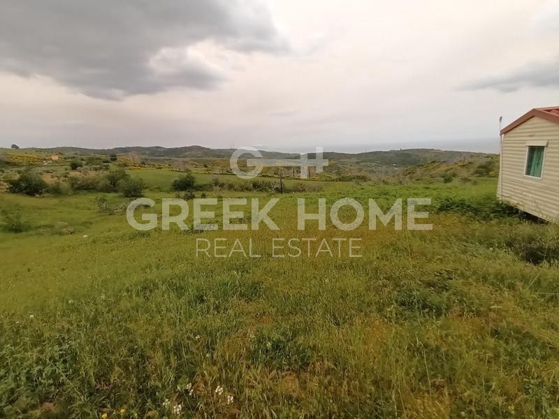 Αγροτεμάχια 12.300 τ.μ. προς πώληση, Παλαιόβρυση Νηλέως