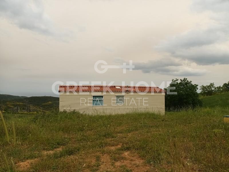 Αγροτεμάχια 12.300 τ.μ. προς πώληση, Παλαιόβρυση Νηλέως