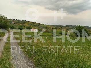 Parcel 12.300sqm for sale-Nilea » Palaiovrisi