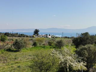 Μεζονέτα 330 τ.μ. για πώληση