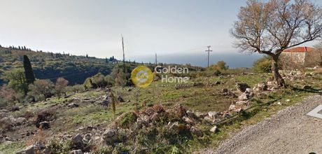 Οικόπεδο 2.584τ.μ. για πώληση-Λεύκτρος » Καστανιά