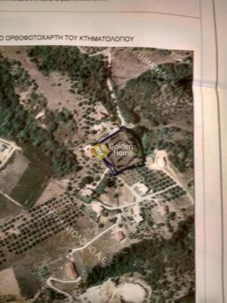 Οικόπεδο 5.395 τ.μ. για πώληση, Θεσπρωτία, Ηγουμενίτσα