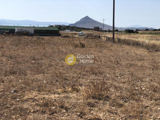 Αγροτεμάχια 8.020 τ.μ. για πώληση